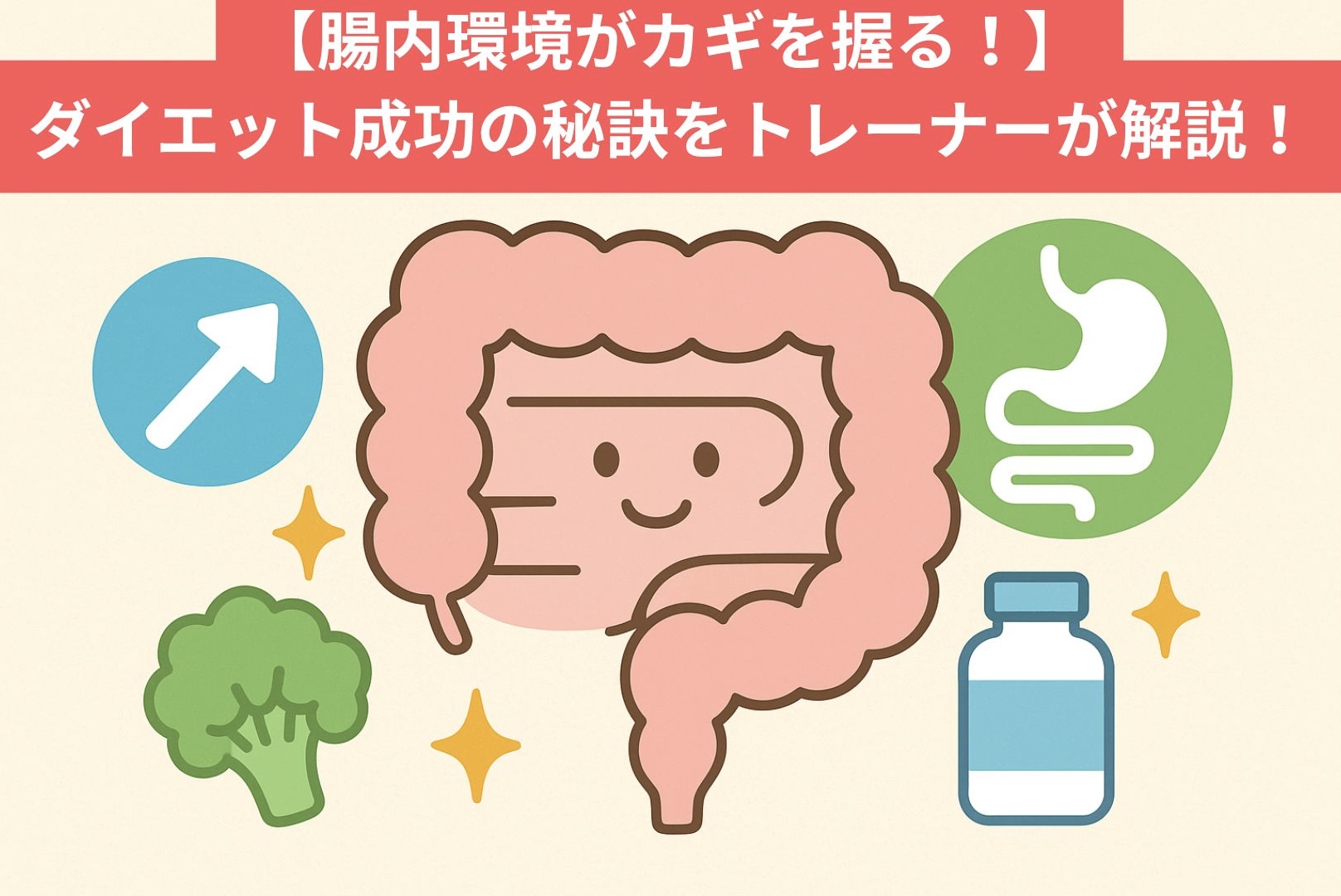 【腸内環境がカギを握る！】｜ダイエット成功の秘訣をトレーナーが解説！