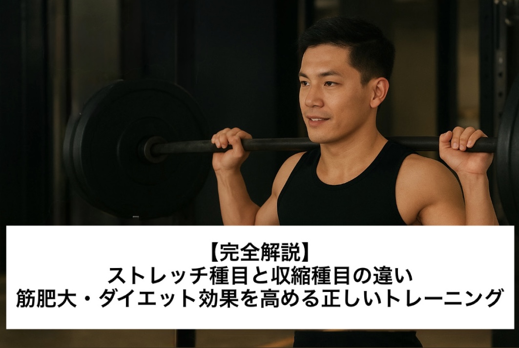 【完全解説】ストレッチ種目と収縮種目の違い｜筋肥大・ダイエット効果を高める正しいトレーニング知識