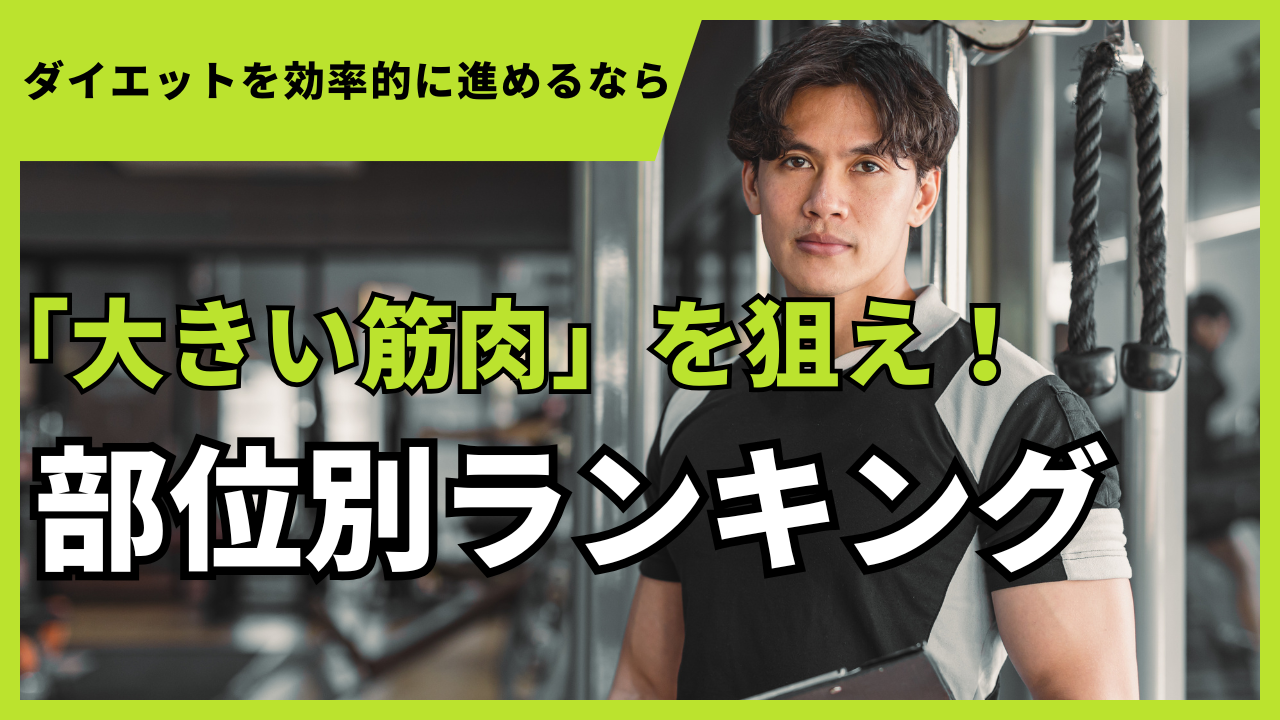 筋肉の大きいランキング記事の画像