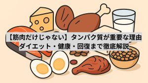 【筋肉だけじゃない】タンパク質が重要な理由｜ダイエット・健康・回復まで徹底解説