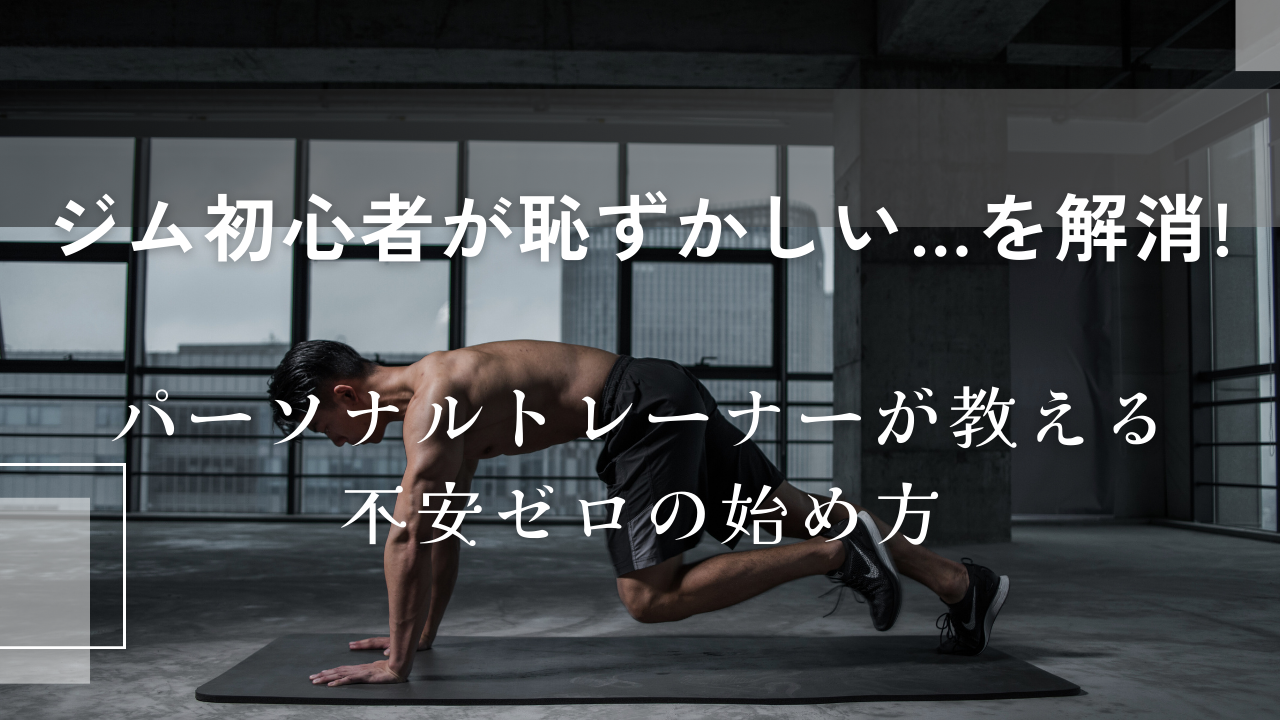 初心者に向けた記事の画像