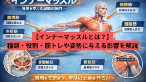 【インナーマッスルとは？】種類・役割・筋トレや姿勢に与える影響を解説